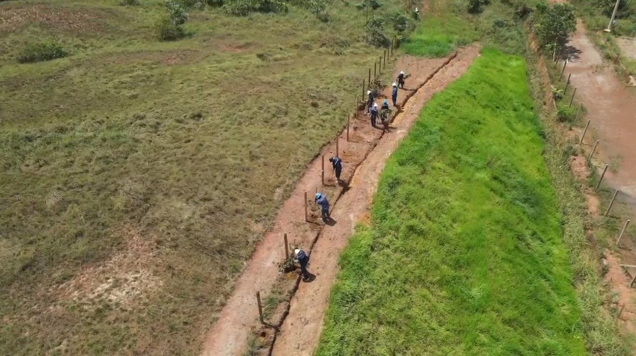 Proyecto forestal — SOFORESTA