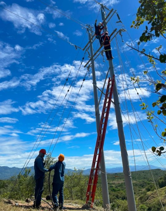 Proyecto de obras eléctricas — SOFORESTA
