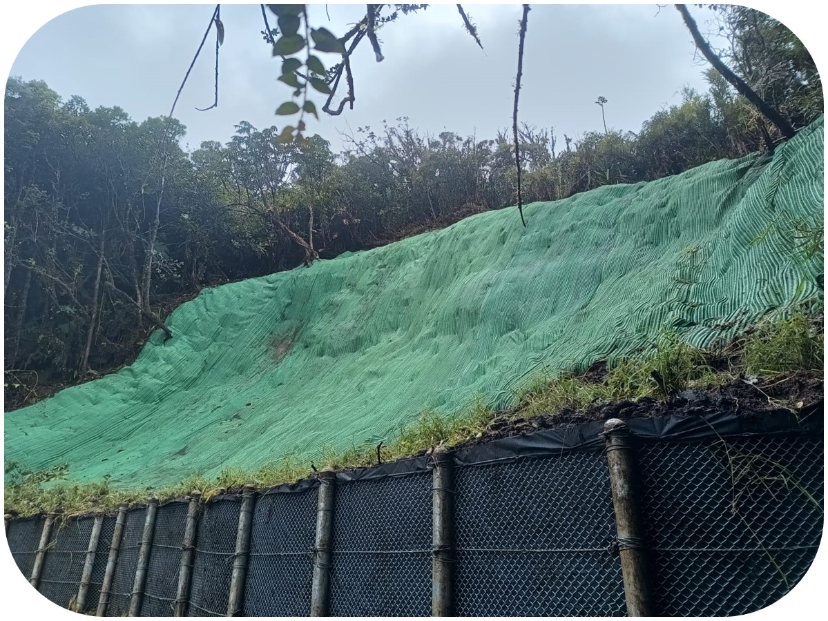 Proyecto de obras de geotecnia — SOFORESTA
