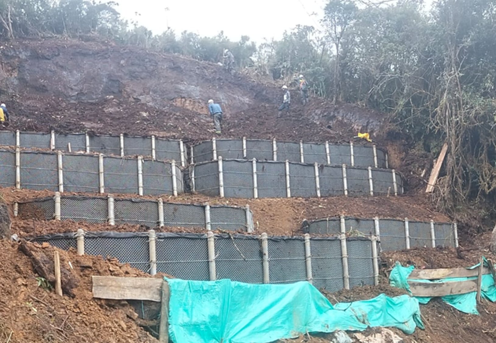 Proyecto de obras de geotecnia — SOFORESTA