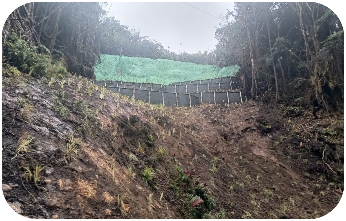 Proyecto de obras de geotecnia — SOFORESTA